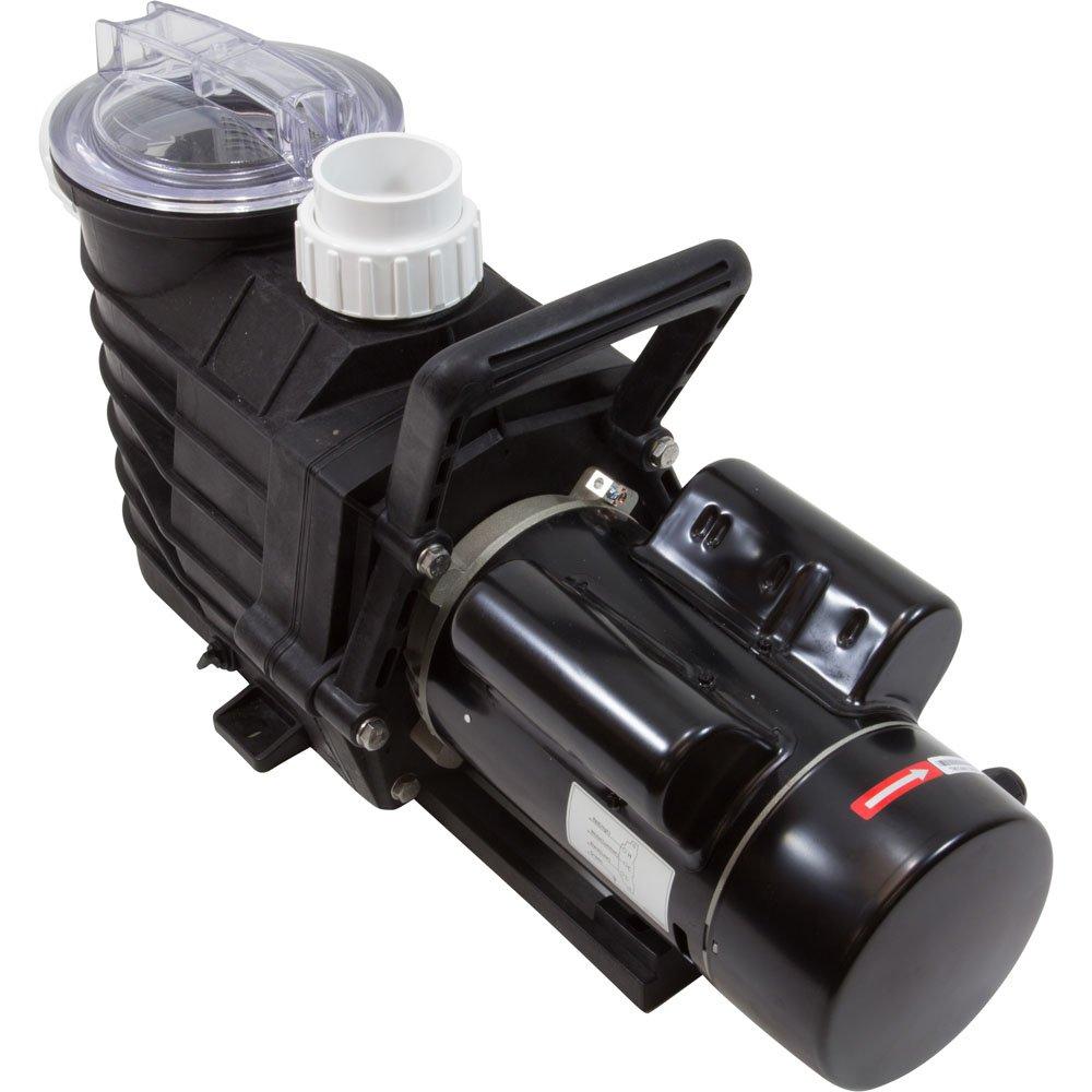 Lingxiao Pump 48SUP1002C-II Pump, LX 1002C-II, 1.0hp, 230v, 2-Spd, 2", 60Hz, 48Fr
