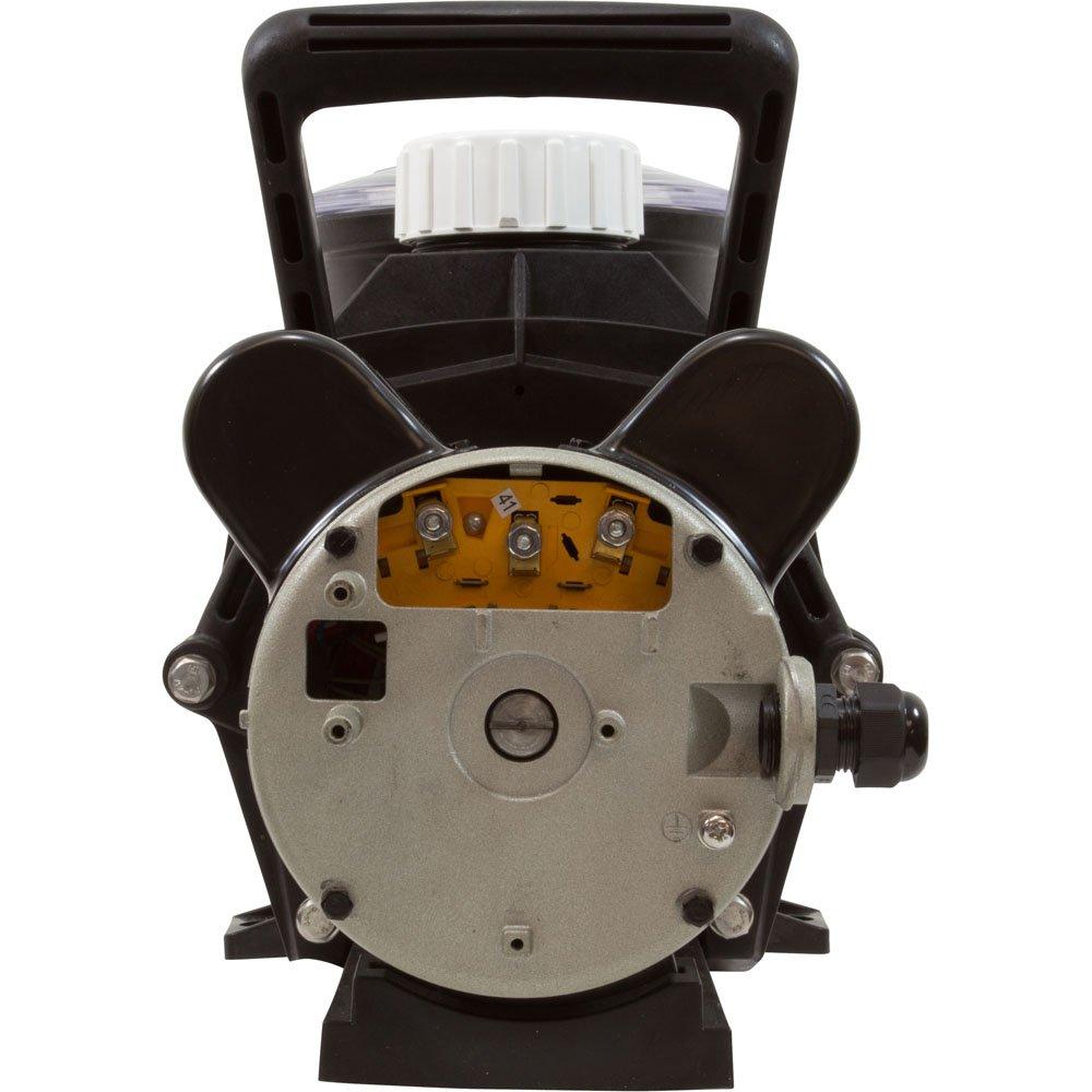 Lingxiao Pump 48SUP1002C-II Pump LX 1002C-II 1.0hp 230v 2-Spd 2" 60Hz 48Fr