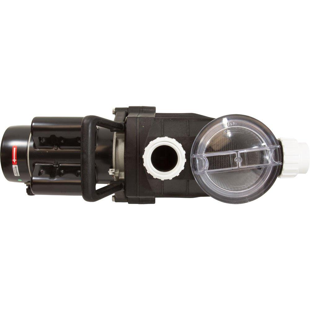 Lingxiao Pump 48SUP1002C-II Pump, LX 1002C-II, 1.0hp, 230v, 2-Spd, 2", 60Hz, 48Fr