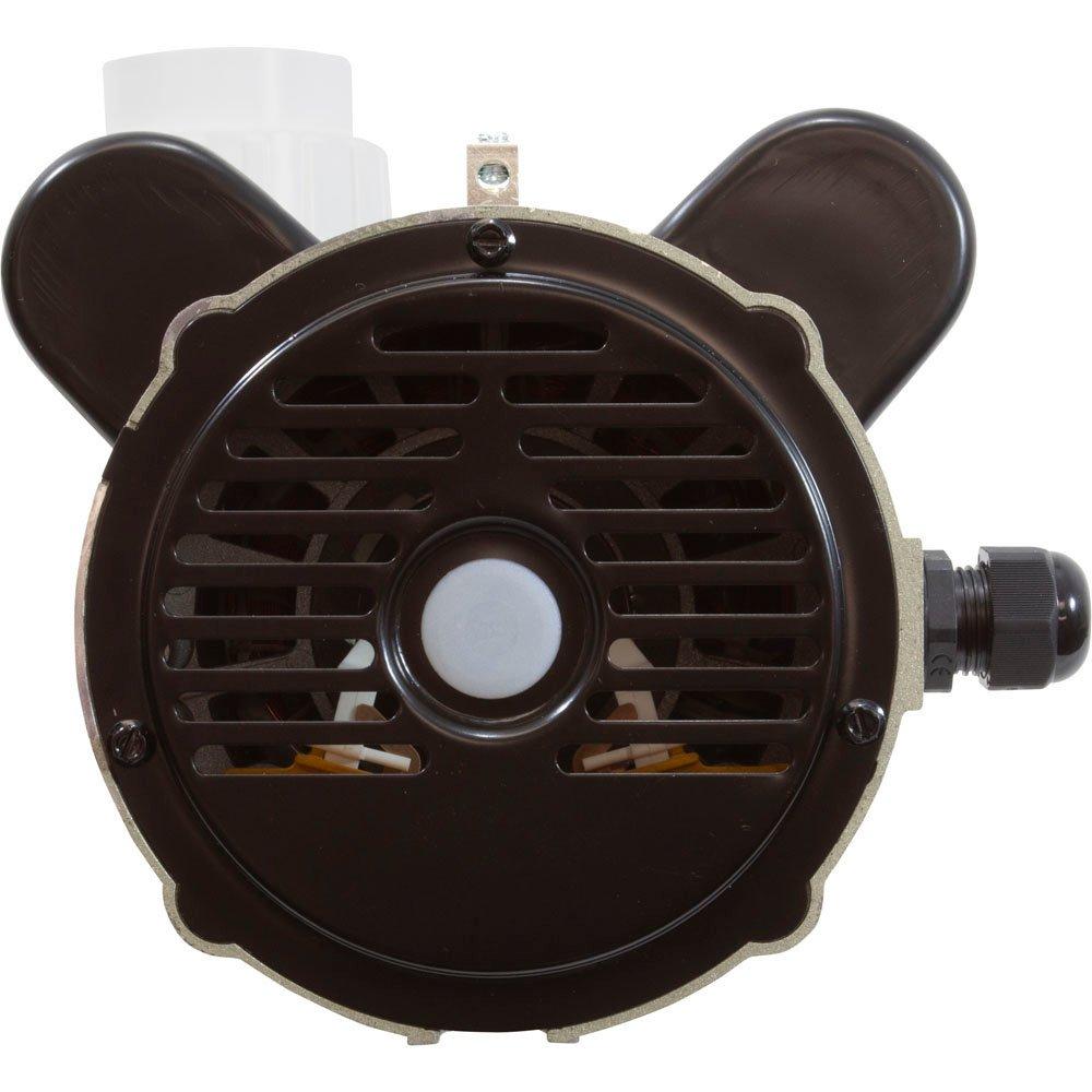 48WUA1501C-IINF Pump, LX 48WUA, 1.5hp, 115v, 2-Spd, 48Fr, 2",SD, Bracketless