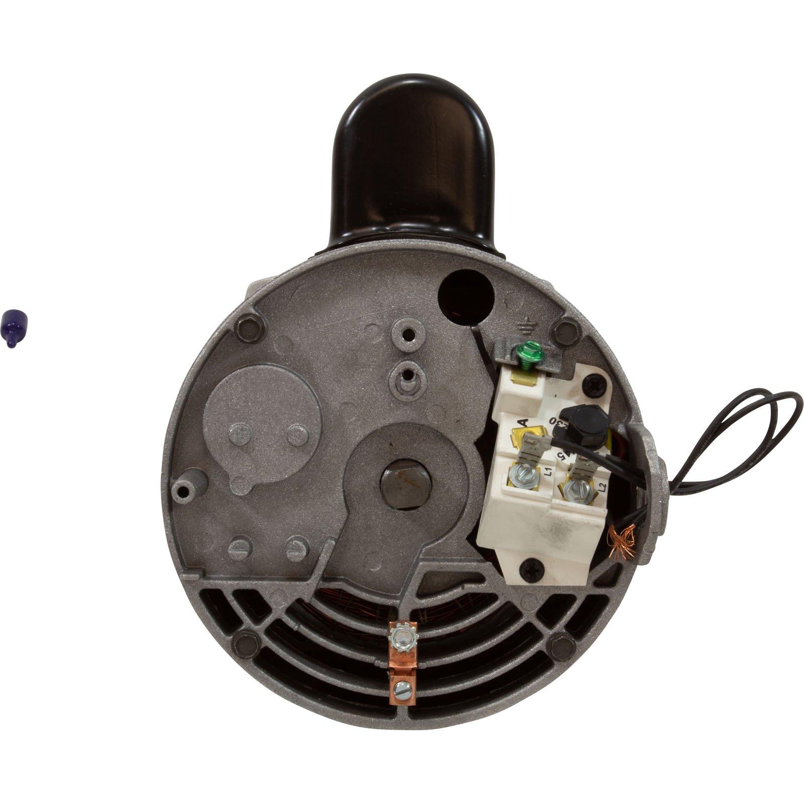 Hayward Motor, Hayward TriStar SP3200X,1.5hp,1-Spd,115v/230,Max Rate