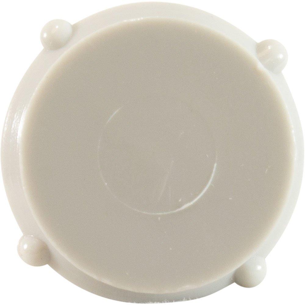 Hayward Probe-Cap,Winter