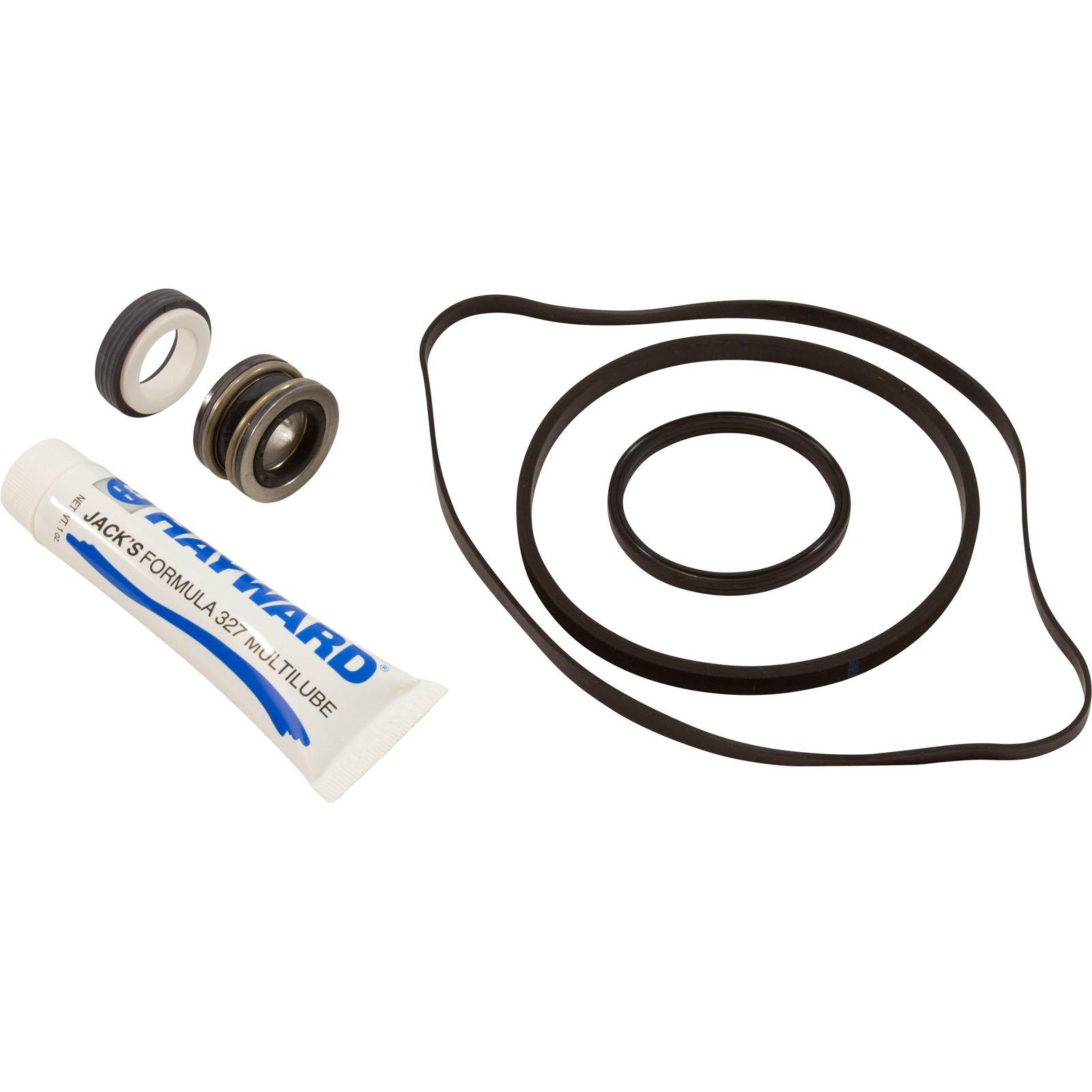 Hayward Quick Fix Kit Max-Flo Pump