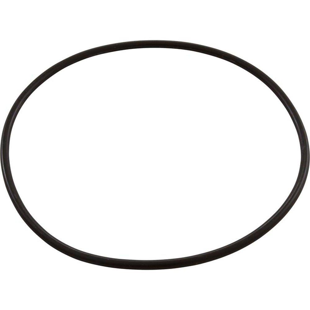 Hayward O-Ring Hayward HCP Body