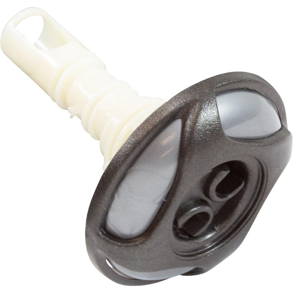 Waterway Jet Intl WW Cluster Strm,Swirl,2-1/4"fd,2Roto,SS/DkGry,Thd