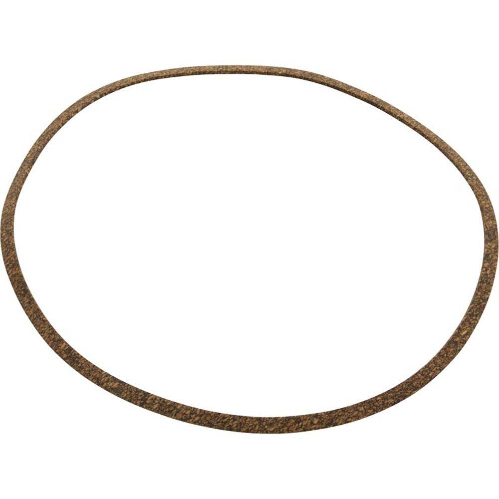 Pentair C20-122 Gasket, Pentair, J-Series High Head, Volute