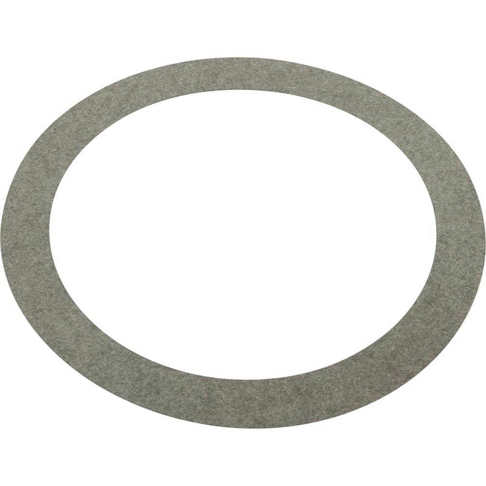 Pentair Gasket Seal Plate N20-26