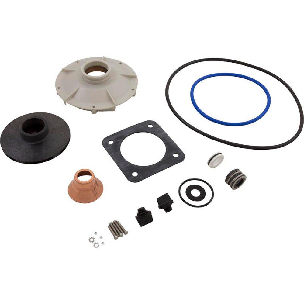 Pentair  PP1014 Overhaul Kit-Pe Pr P2R W/