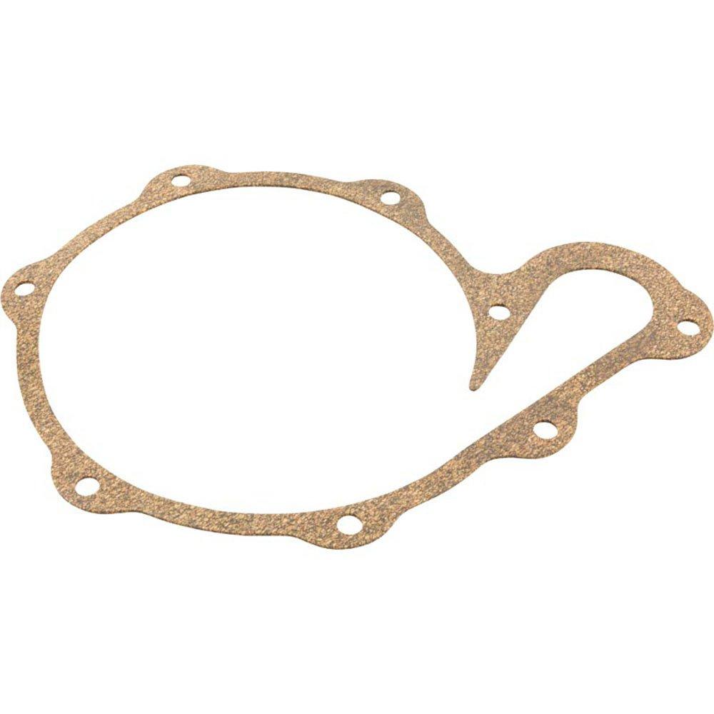 Pentair Gasket PS20-21