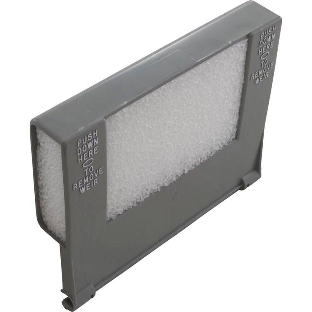 Pentair Gate Weir Asy Dg R172469DG