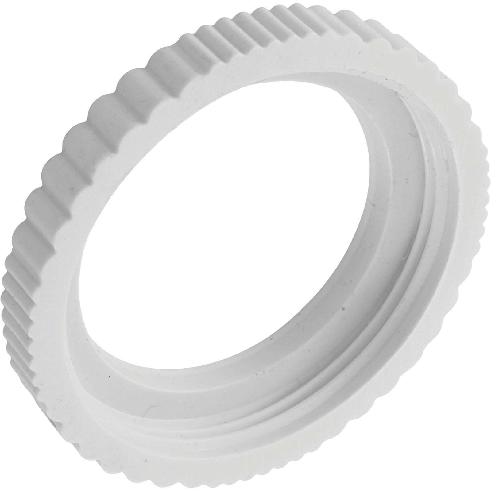 Pentair 072503 Screw Cover Pentair Return Line Check Valve