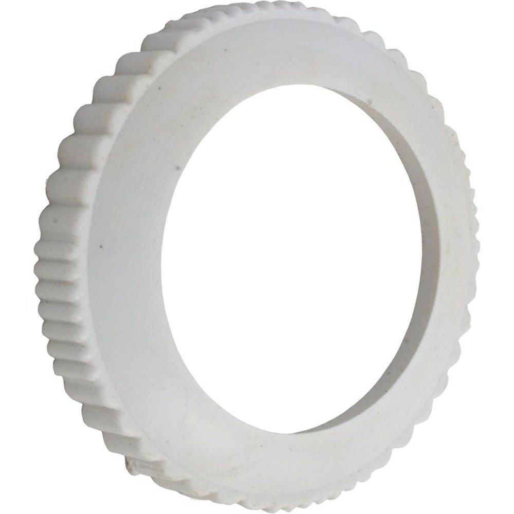 Pentair 072503 Screw Cover Pentair Return Line Check Valve