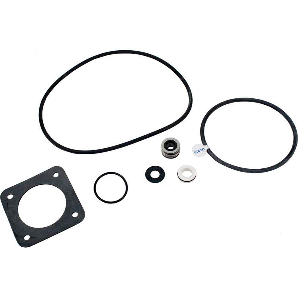 Pentair PP1000 Seal Kit Pentair Sta-Rite DuraGlas Pre 1998