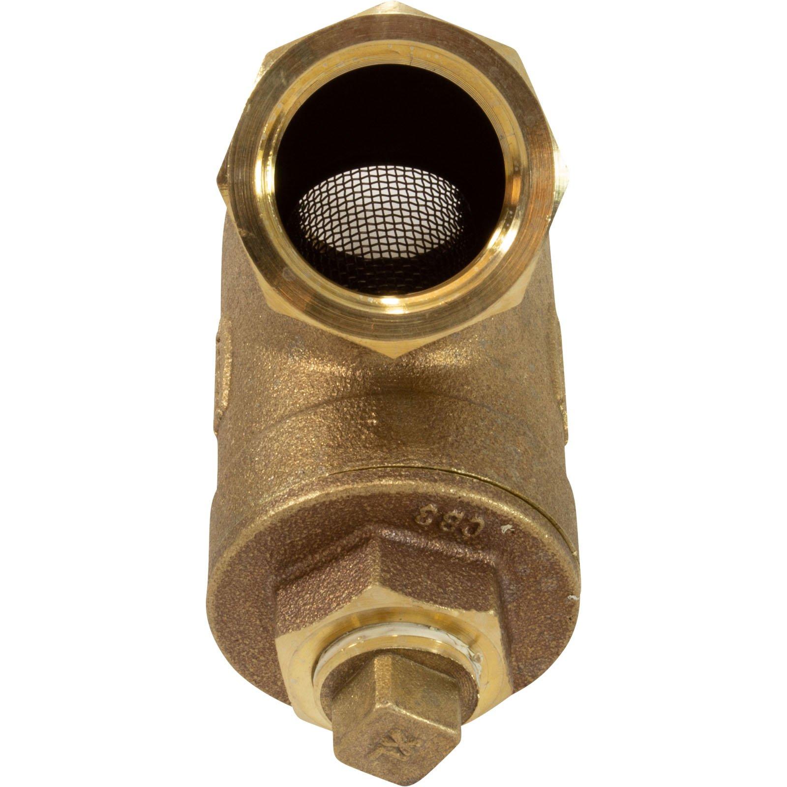 Zodiac Jandy Pro Series 1 Y Strainer