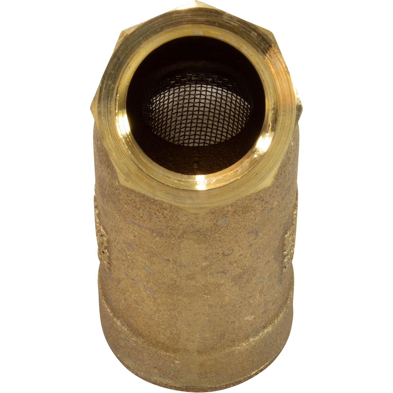 Zodiac Jandy Pro Series 1" Y Strainer