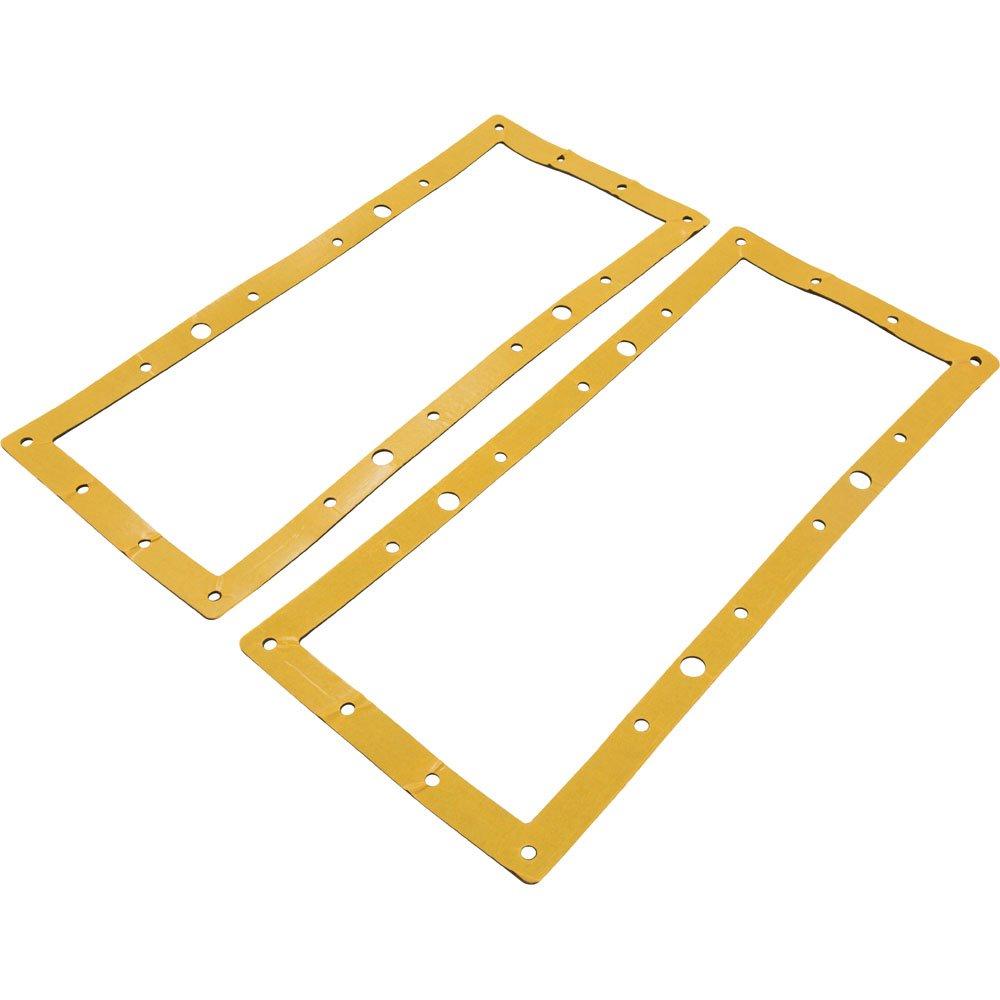 Astral Products 4402011711 Gasket, Astral, In-Ground Skimmer