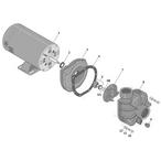 Sta-Rite LT Above Ground Pool Pump Parts