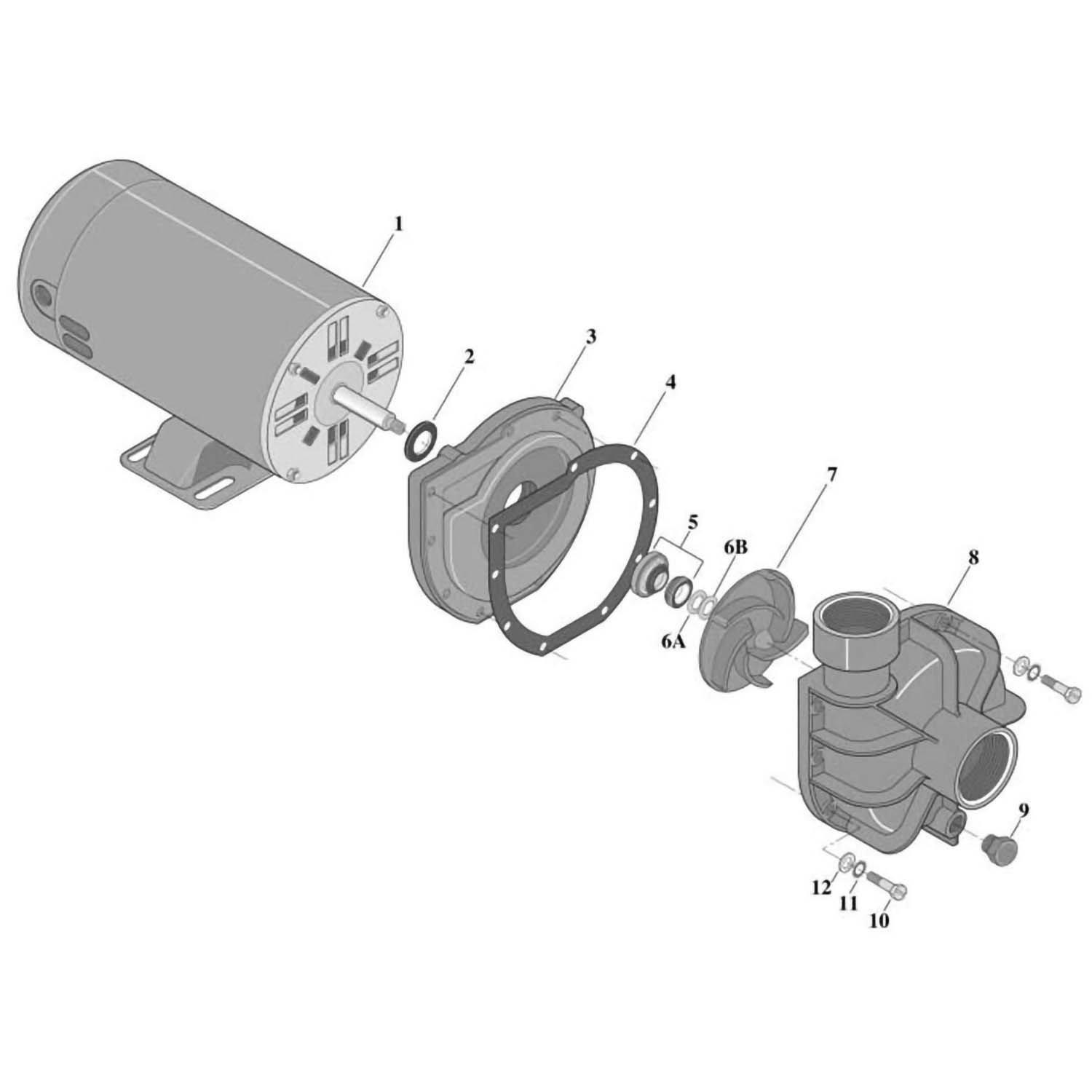 Sta-Rite LT Above Ground Pool Pump Parts