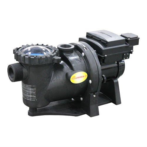 Aquapro  SunRunner 2.4 HP Variable Speed Energy Efficient Pool Pump