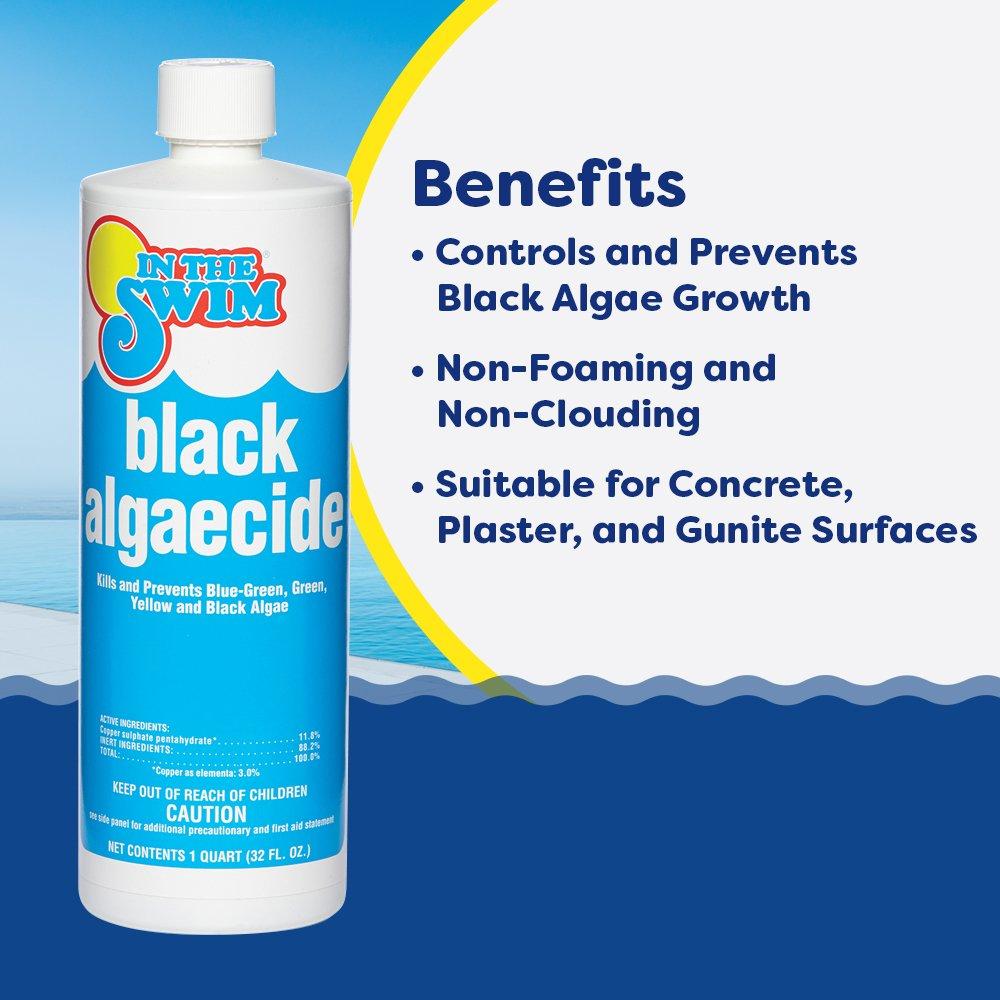 Black Algaecide 1 qt.