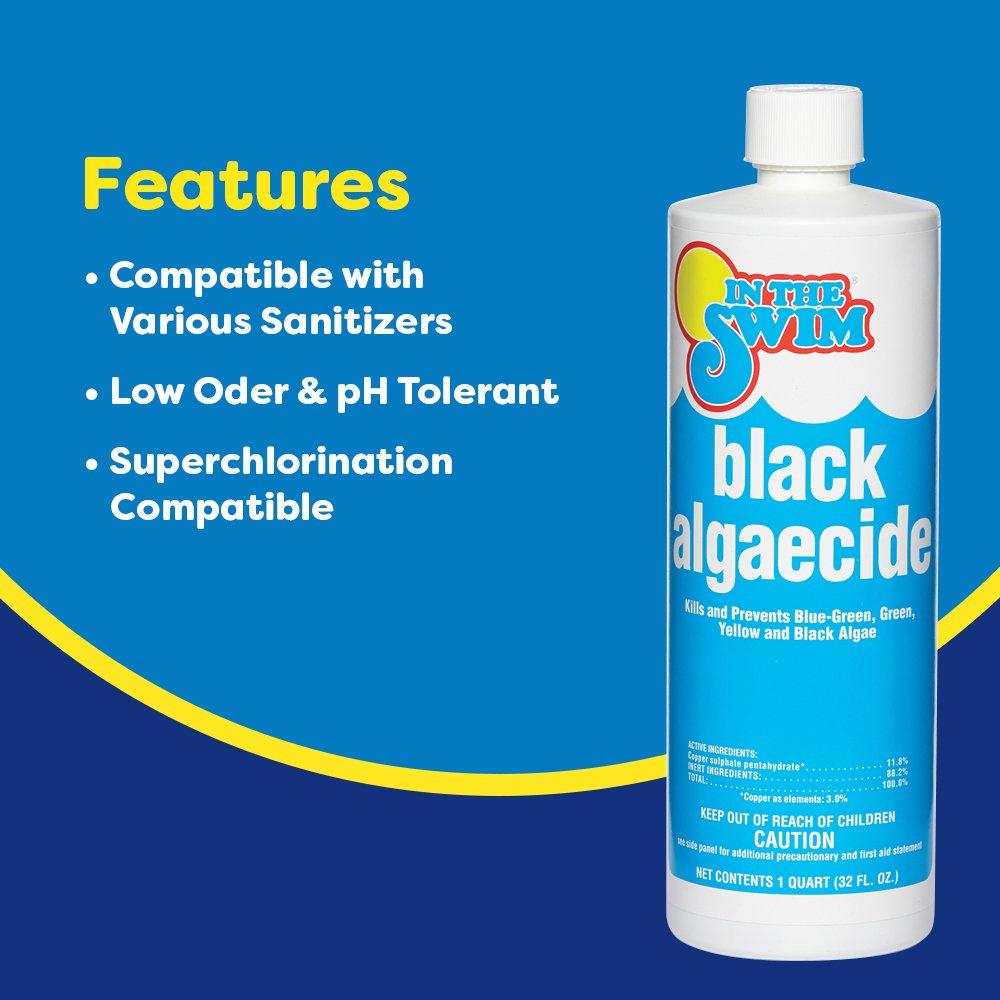 In The Swim  Black Algaecide 1 qt.