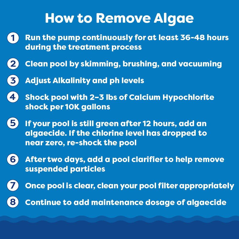 Algae-Clear Algaecide + Clarifier, 1 qt.