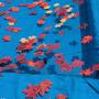 12' x 20' Rectangle In Ground Pool Leaf Net Cover