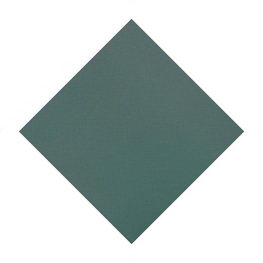 GLI  Mesh Safety Cover 18x36 ft Rectangle with 4x8 Left Step Green