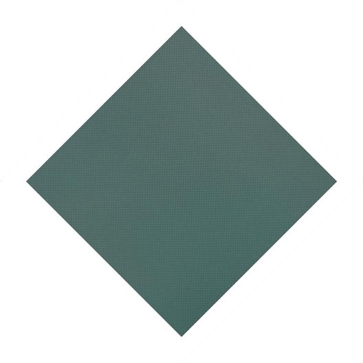 Original Mesh 18 x 40 Rectangle Safety Cover Green
