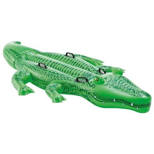 use an alligator float to keep animals out of the pool