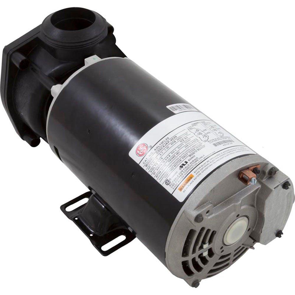 Jacuzzi  J-Pump 115 volt 2-speed 10.8/2.8 amp 3450/1725 rpm