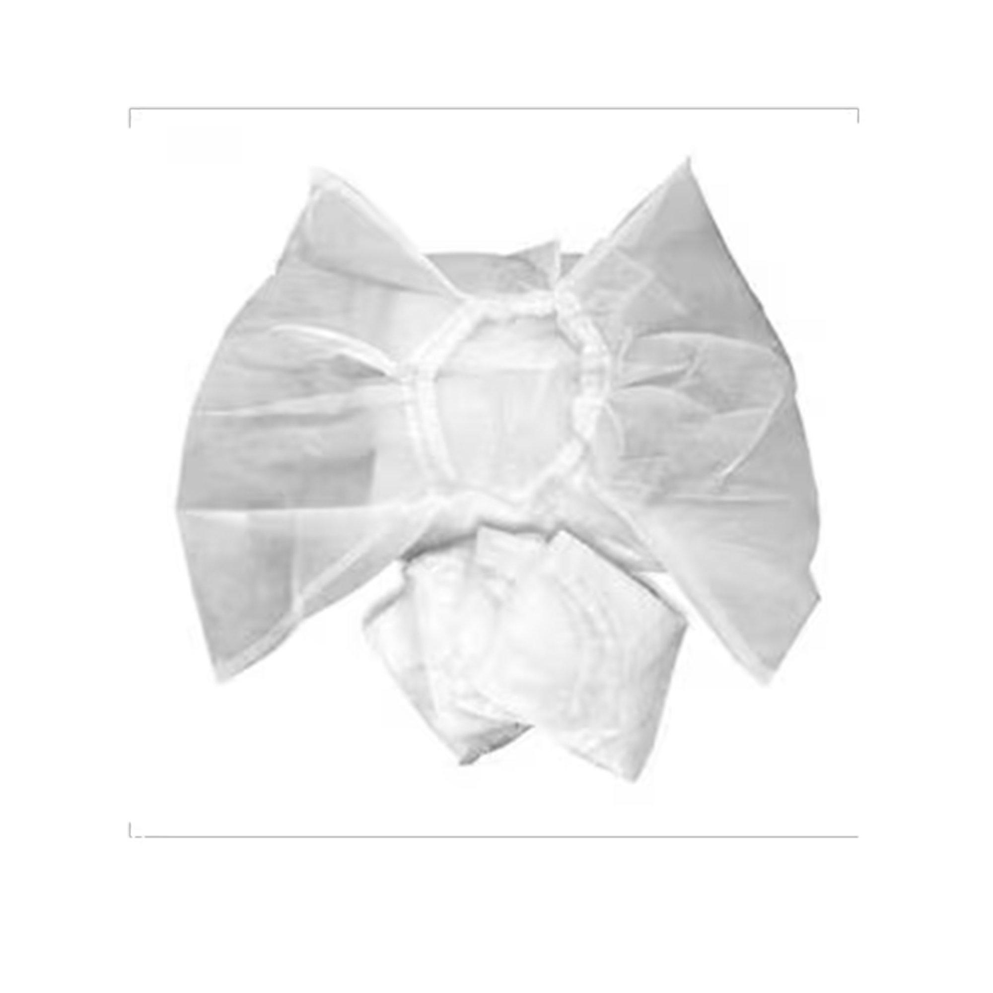 Maytronics Disposable Filter Bag (Set of 2 for Dolphin Robotic Pool Cleaners