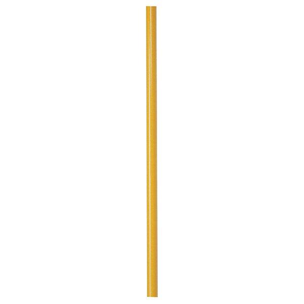 Liberty Pultrusion's  8-ft Superhandle Pole Only