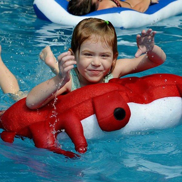 Main-Access  Sandy The Crab Seaside Rider