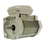 Pentair  Motor for WhisperFlo XF 3 Phase 5 HP