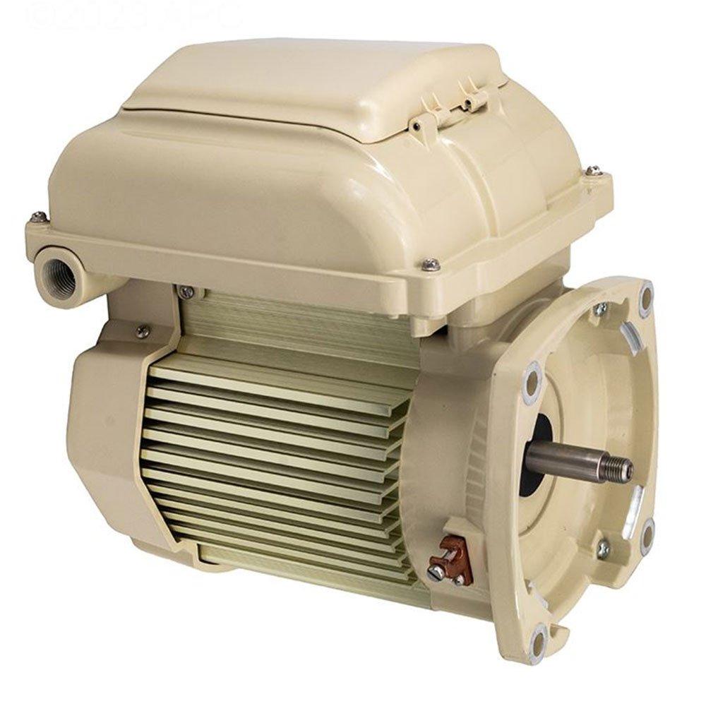 Pentair - 353132S Motor and Drive Assembly for SuperFlo VS