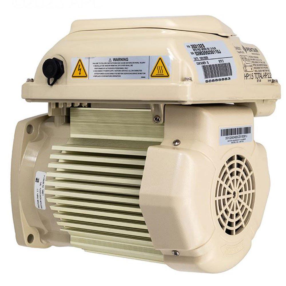 Pentair  353132S Motor and Drive Assembly for SuperFlo VS
