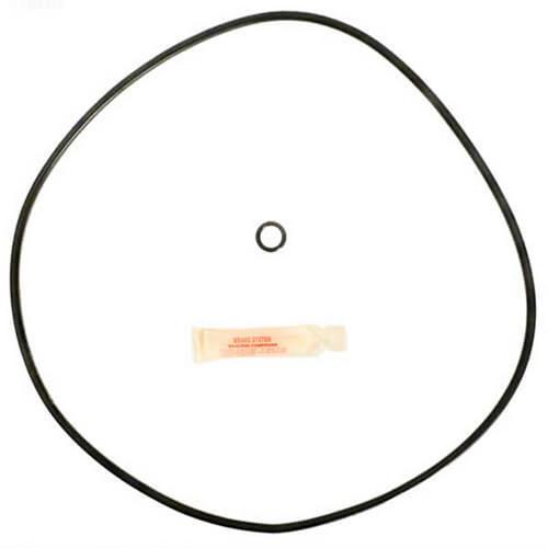 Jacuzzi CFR Filter Replacement O-ring Kit #231