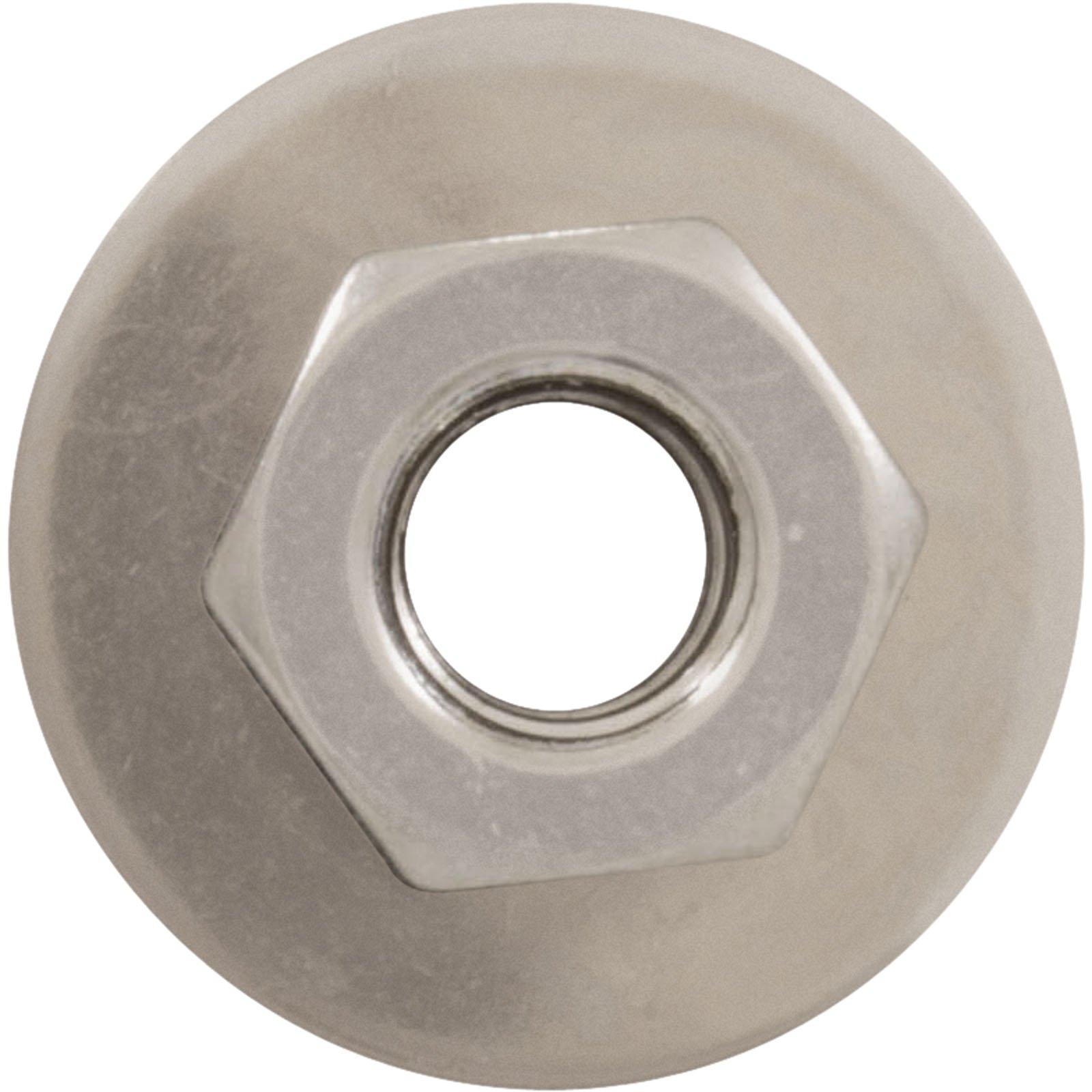 Hayward  1/4 inch Hex Nut with Washer for Hayward 240 Tank Bolt