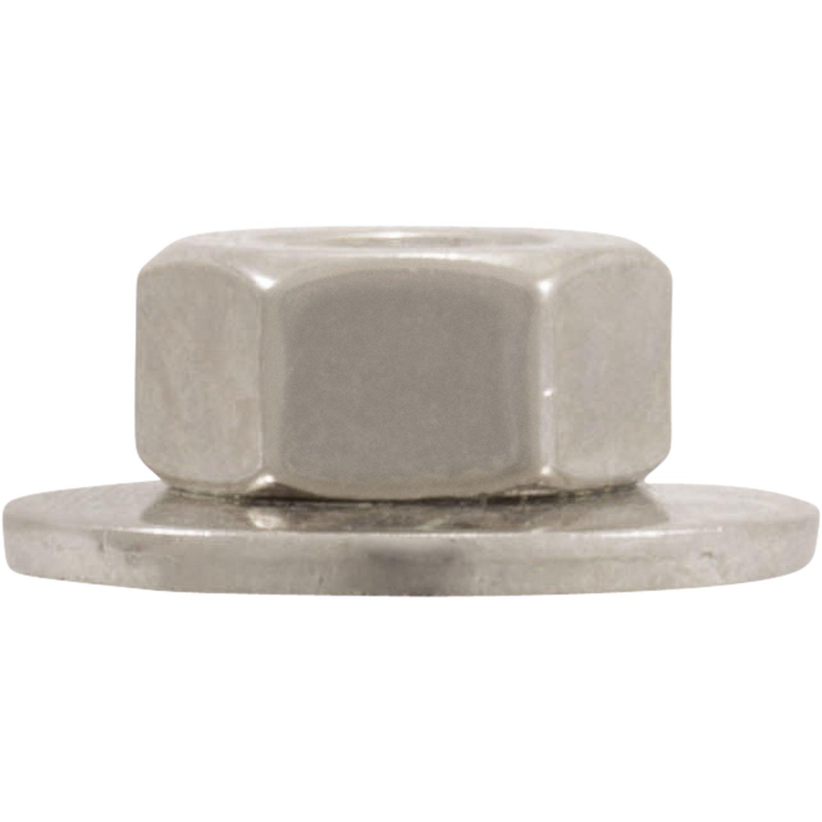 Hayward  1/4 inch Hex Nut with Washer for Hayward 240 Tank Bolt