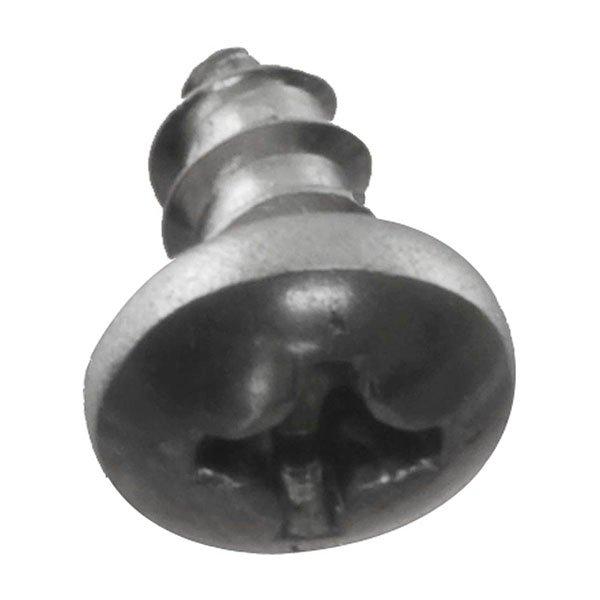Pentair  Screw 6 x 1/4 inch (a)