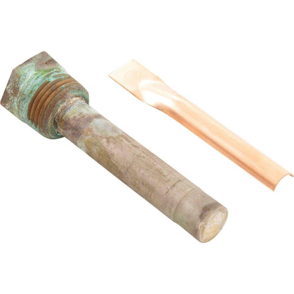 Raypak  Well Assembly