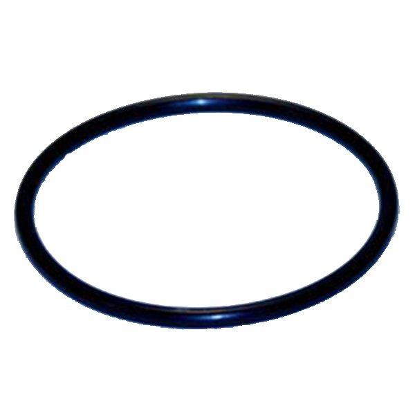 Pump Union O-Ring, 1 inch