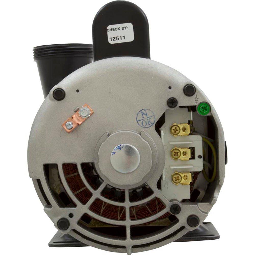 Waterway  Spa Pump Executive Series 3.0 HP 240v 2-1/2 inch Suction (3-1/2 inch OD) 1 or 2 speed 56 frame