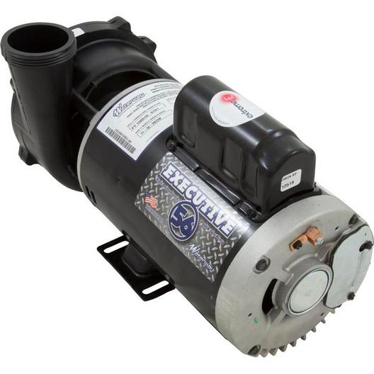 Waterway  Executive 56-Frame 4.0 HP Dual Speed Spa Pump 2in Side Discharge 240V