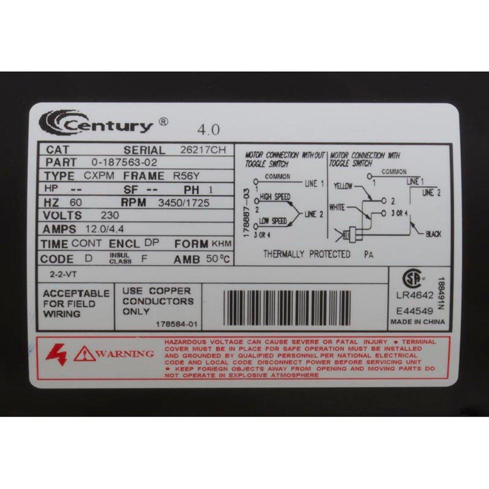 Executive 56-Frame 4.0 HP Dual Speed Spa Pump, 2in Side Discharge, 240V