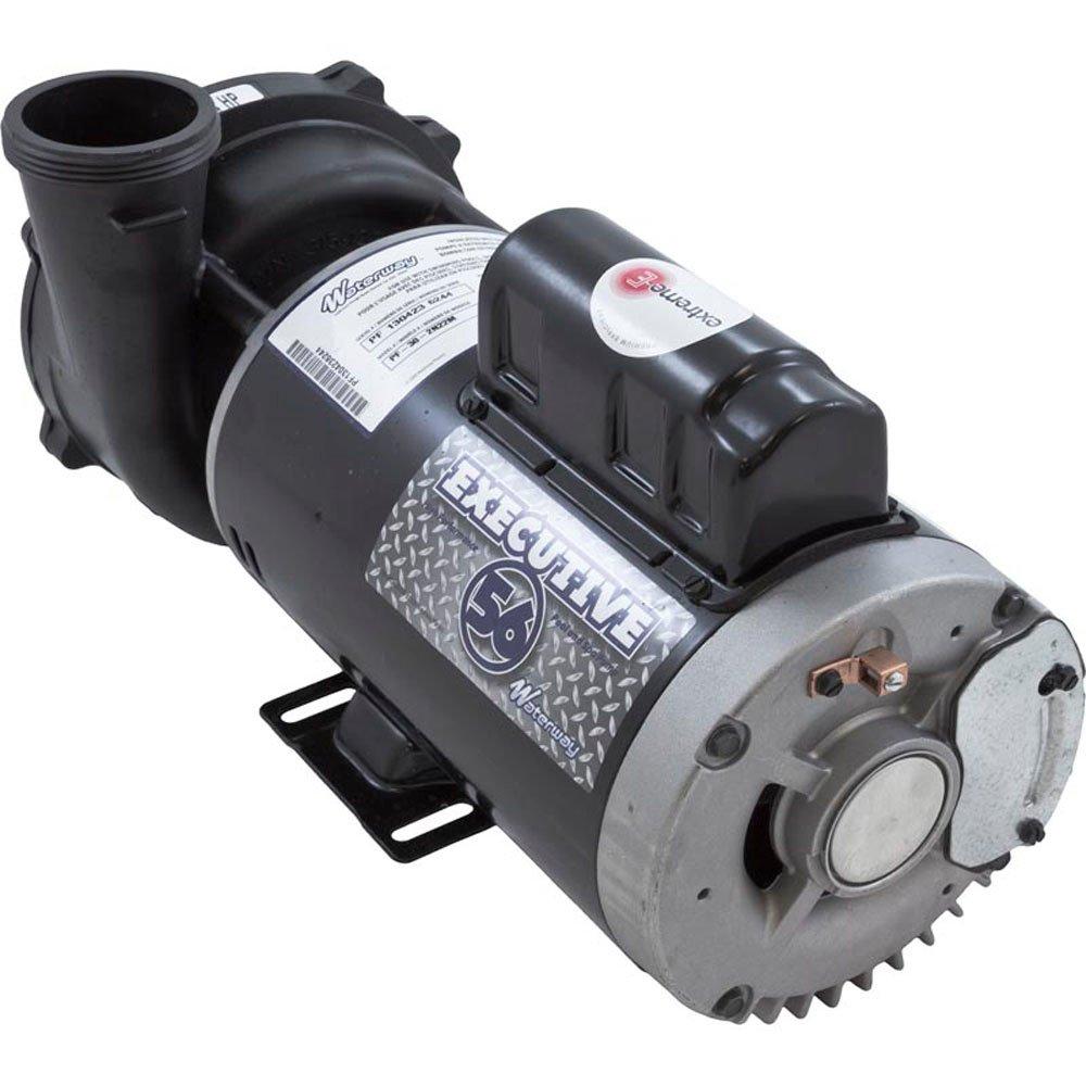 Waterway  Executive 56-Frame 4 HP Dual Speed Spa Pump 2-1/2in Intake 2in Discharge 240V