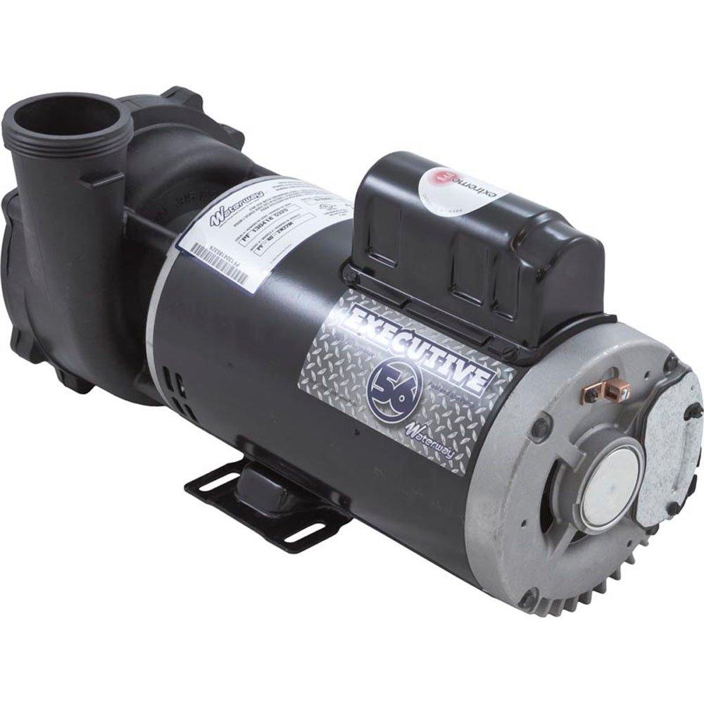 Waterway  Executive 56-Frame 5 HP Dual Speed Spa Pump 240V