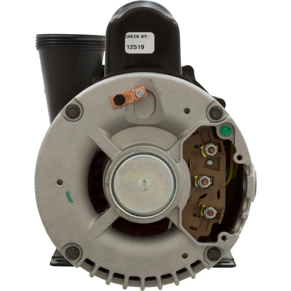 Waterway  Executive 56-Frame 5 HP Dual Speed Spa Pump 240V