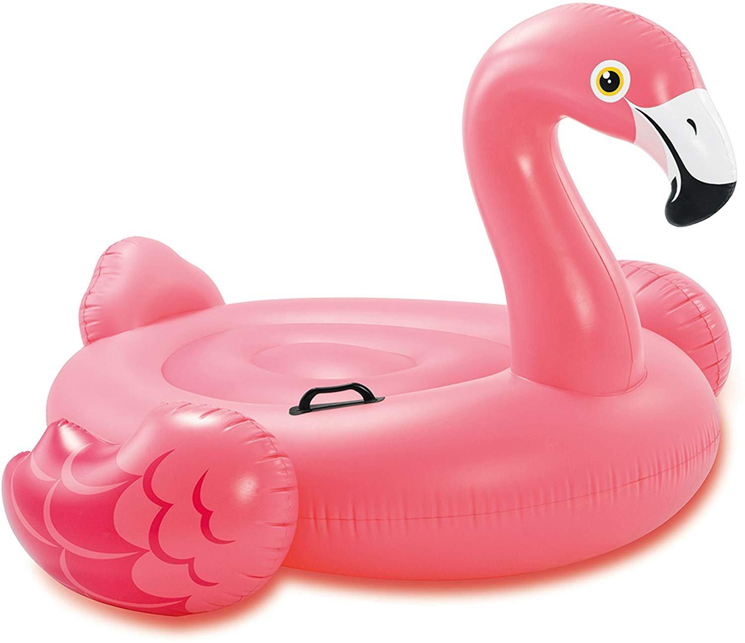 Intex  Inflatable Pool Float